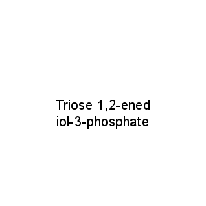 Triose 1,2-enediol-3-phosphate